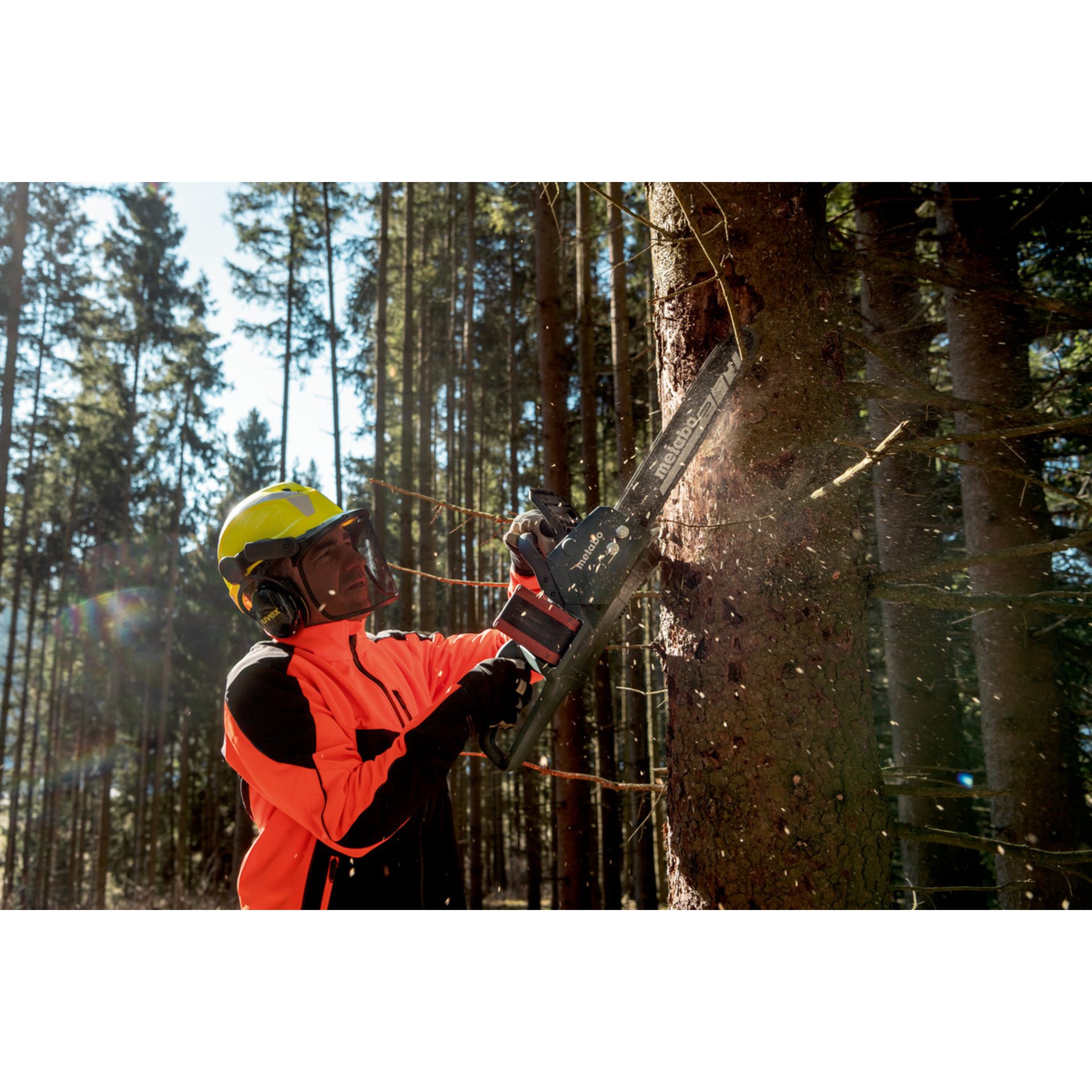 Arbeiter, Baum, Schutzhelm, Helm, Vegetation