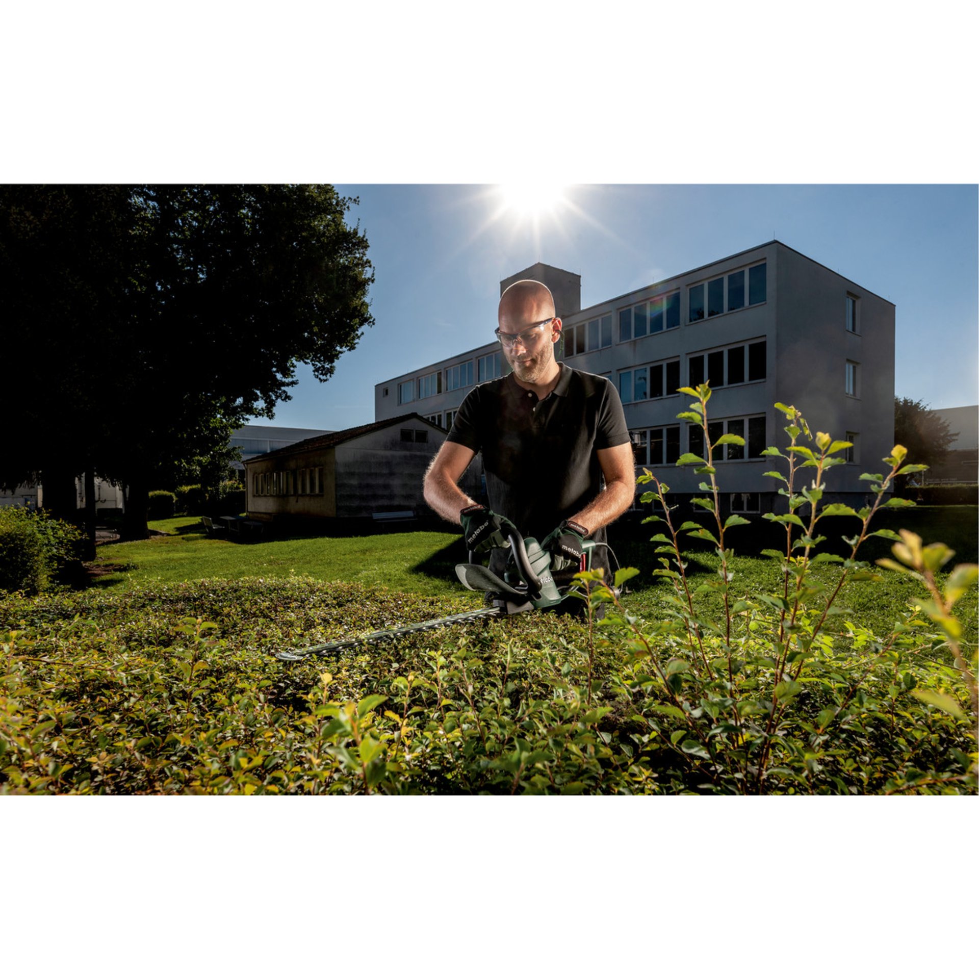 Gras, Rasen, Garten, Brillen, Person