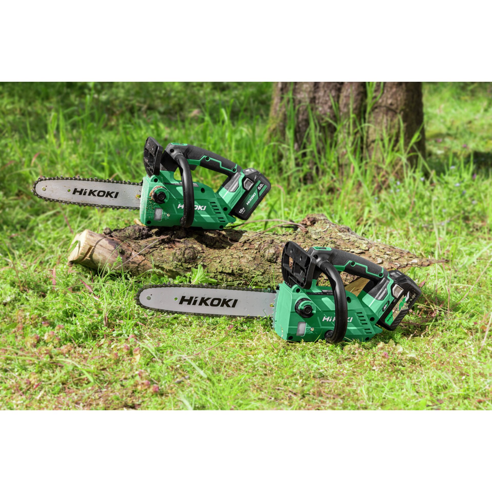 Gerät, Kettensäge, Werkzeug, Gras, Pflanze