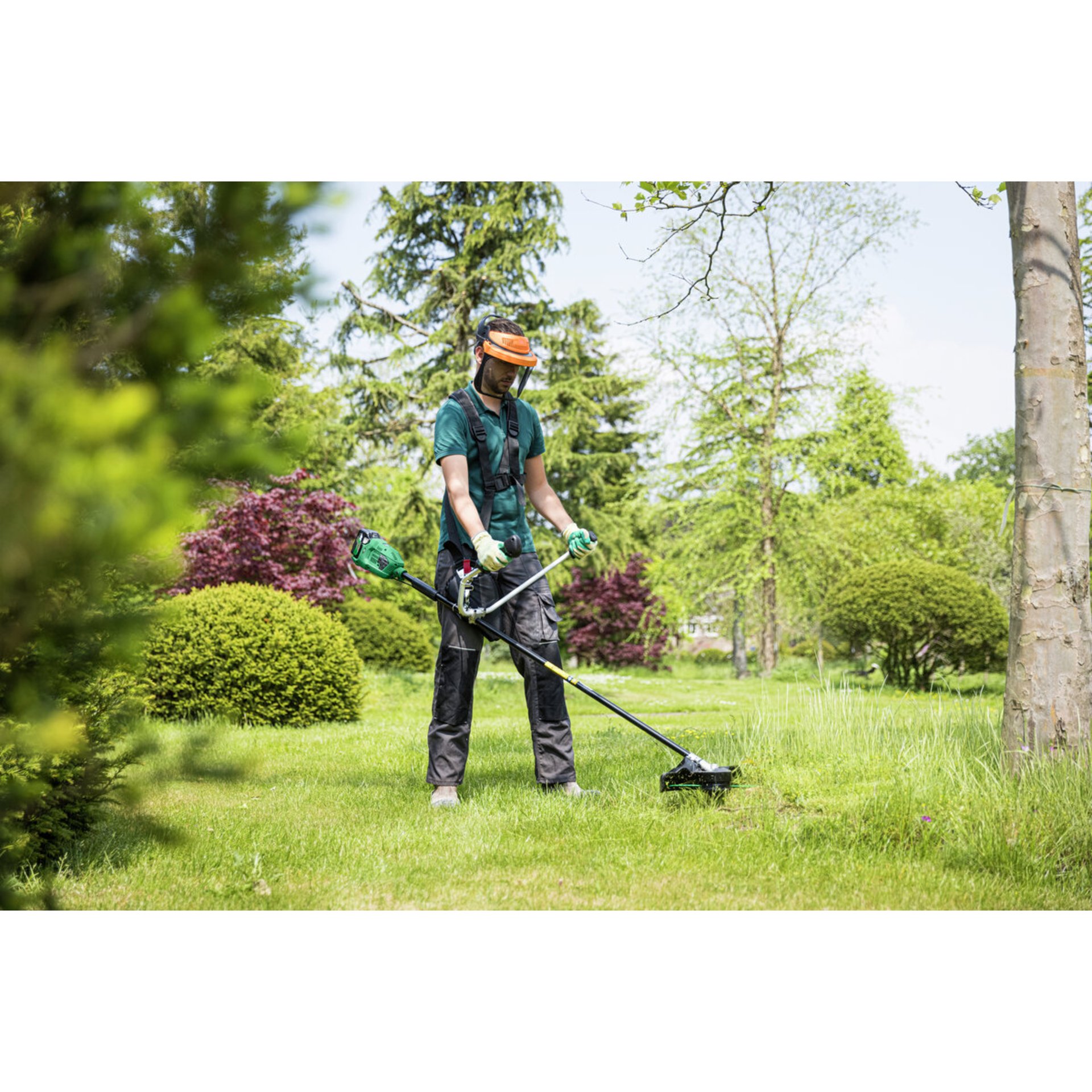 Gras, Rasen, Gerät, Handschuh, Person