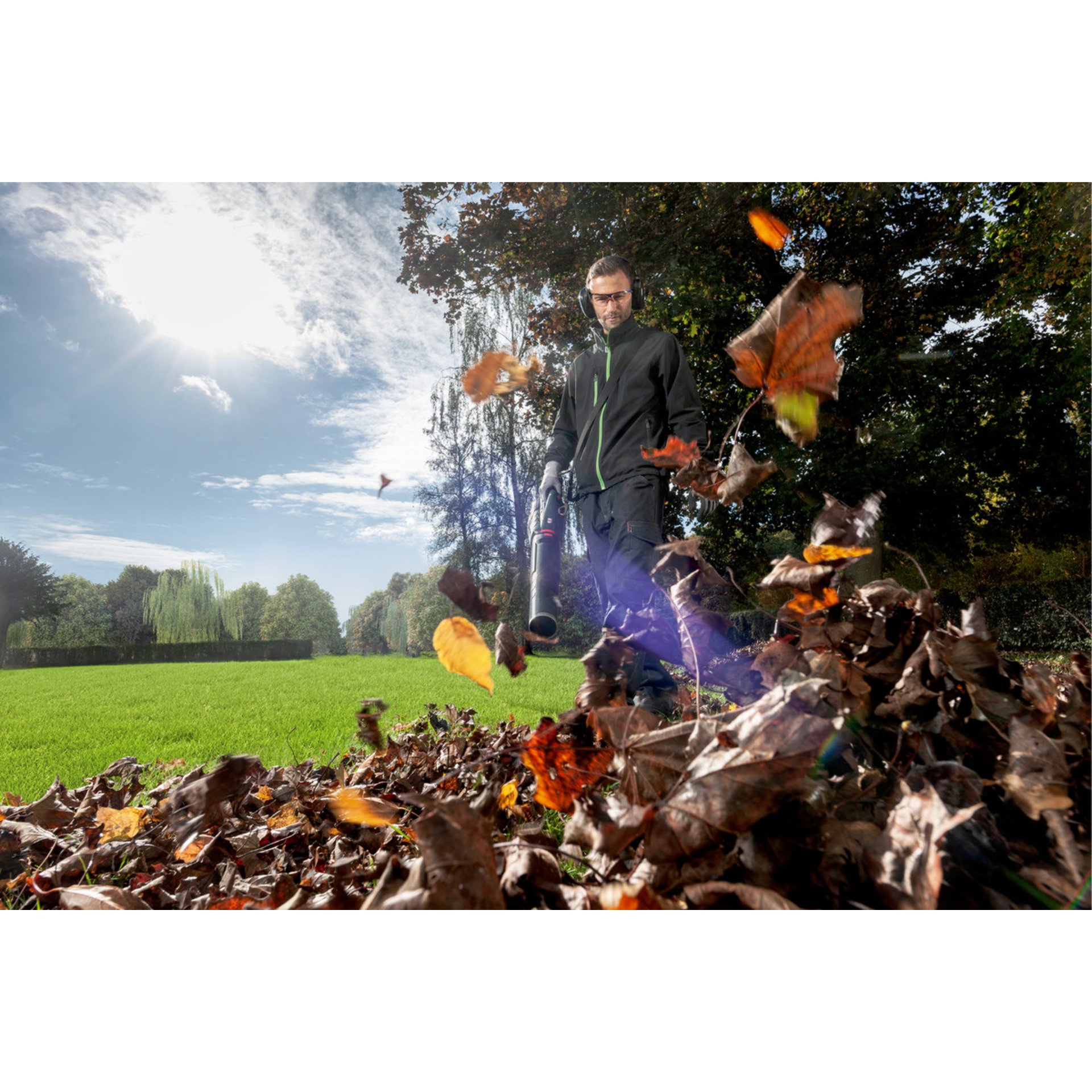 Blatt, Gras, Fotografie, Vegetation, Baum