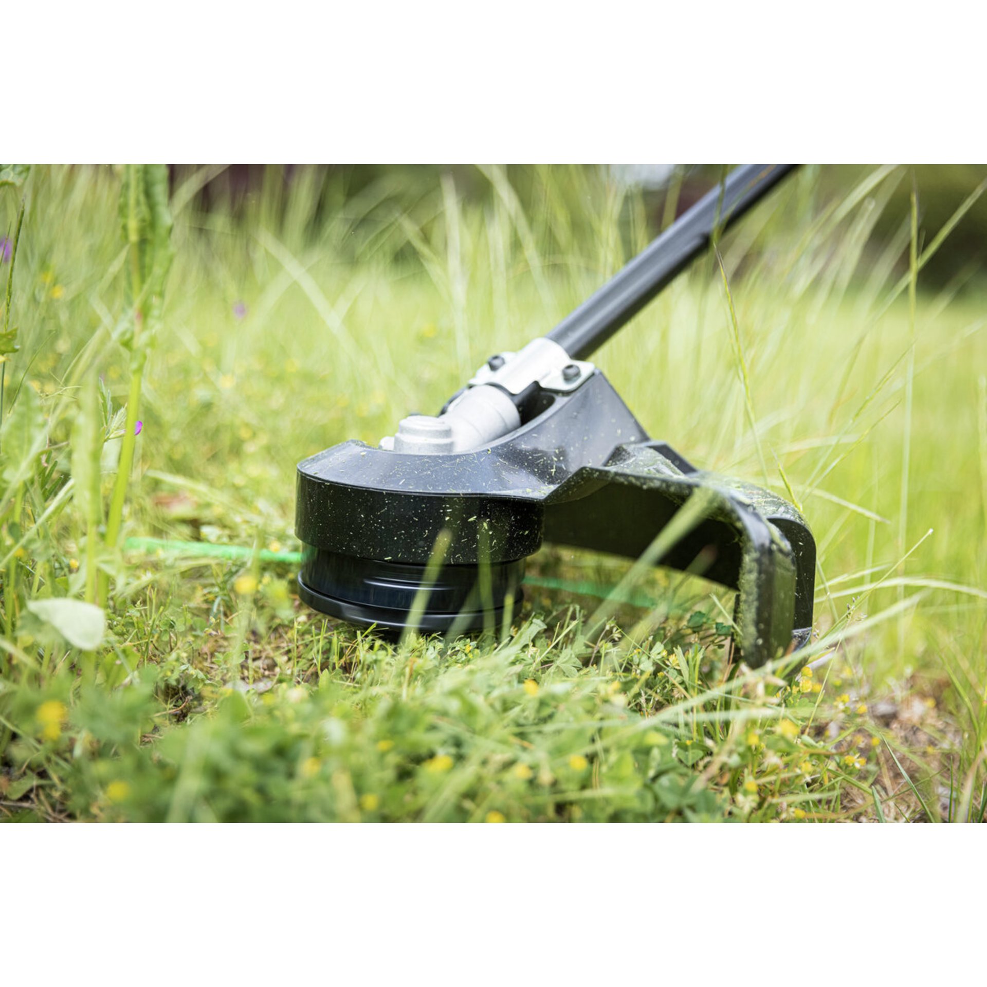 Gras, Rasen, Pflanze, Gerät