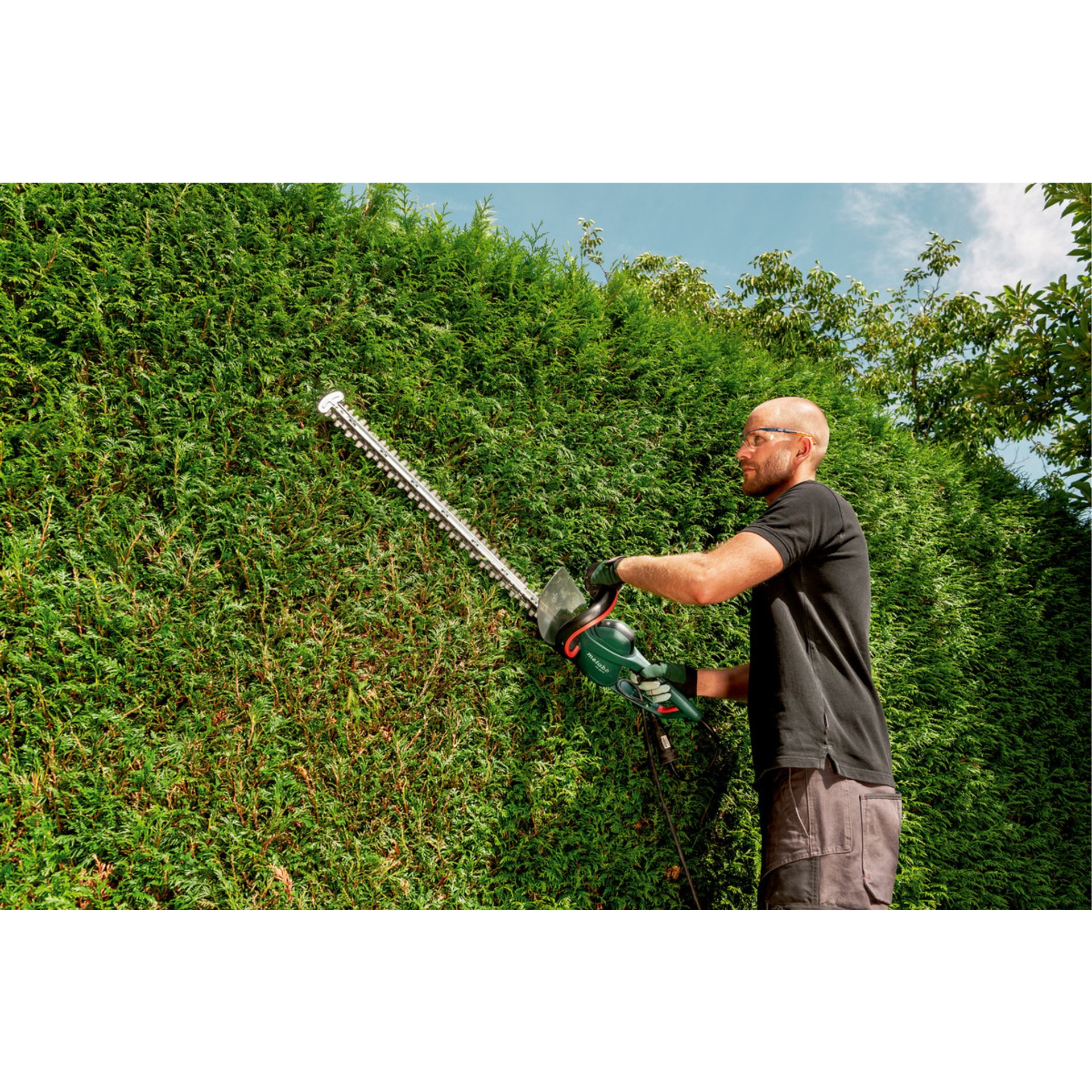 Garten, Gras, Hecke, Gartenarbeit, Person