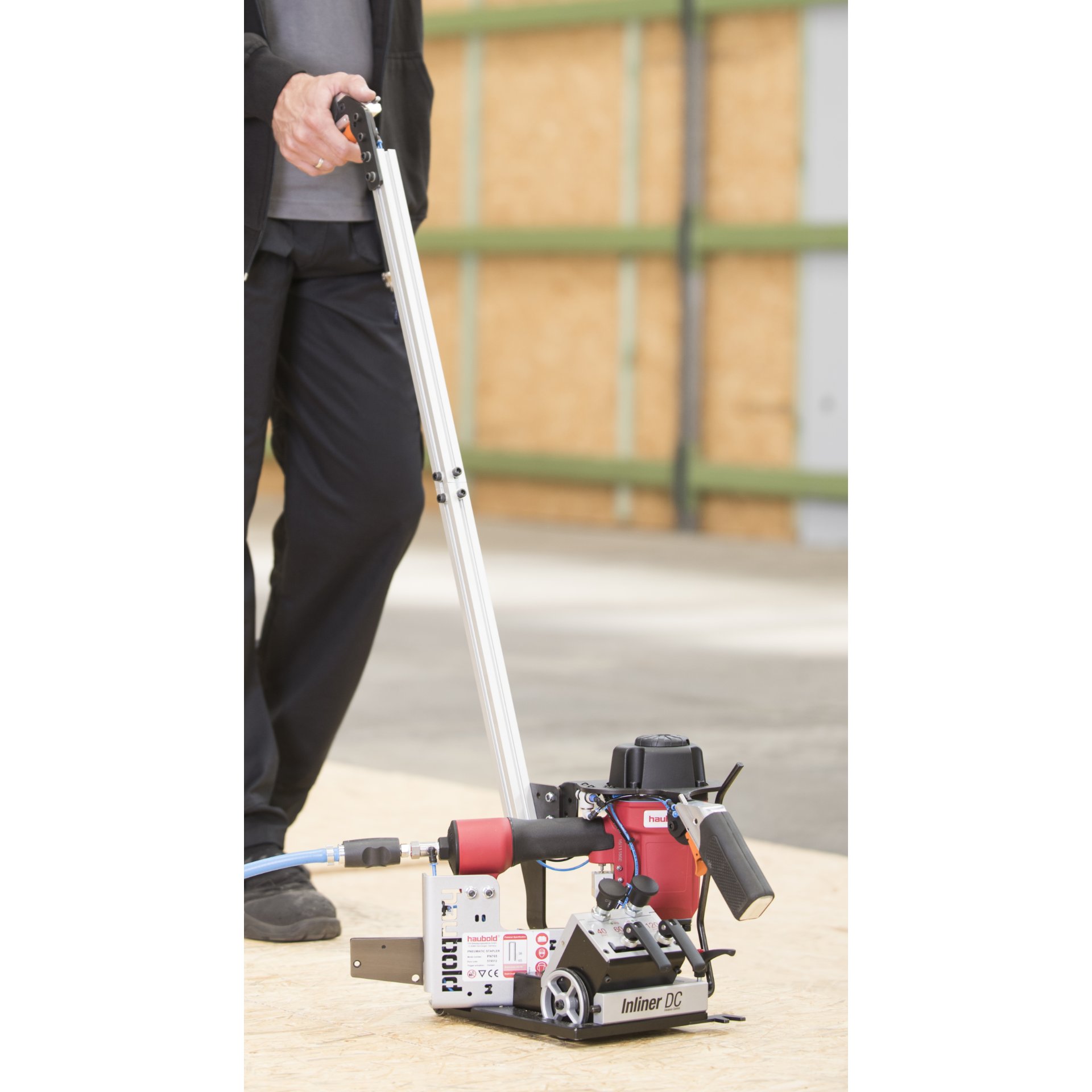 Gras, Pflanze, Rasen