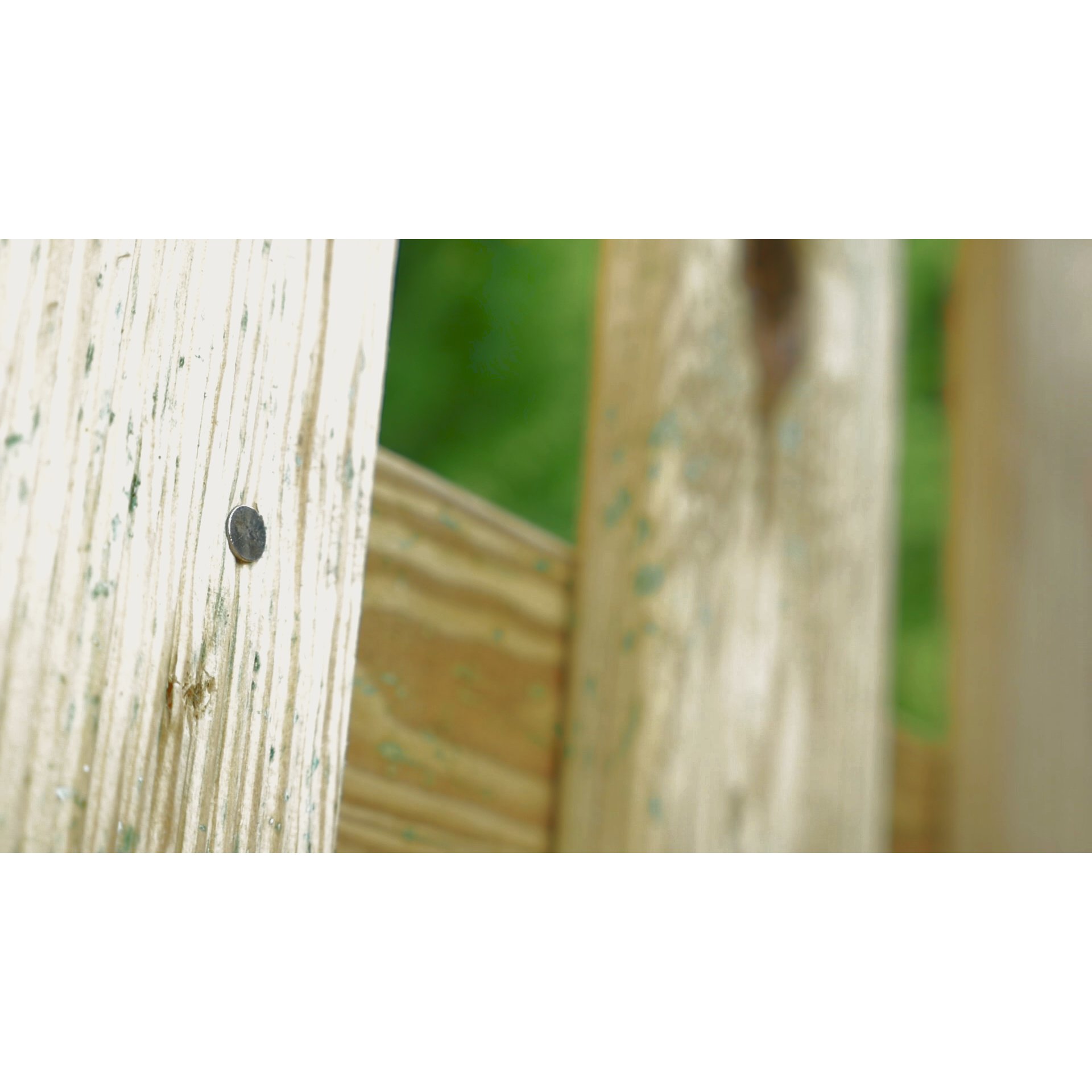 Drinnen, Innenarchitektur, Holz, Zaun, Holzpaneele