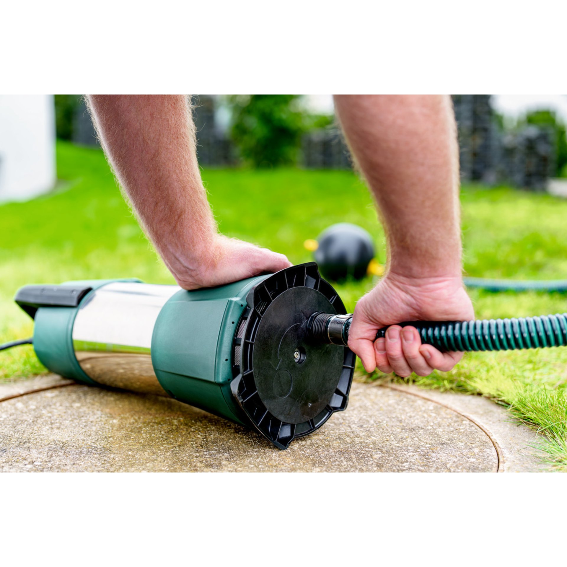 Gras, Pflanze, Rasen