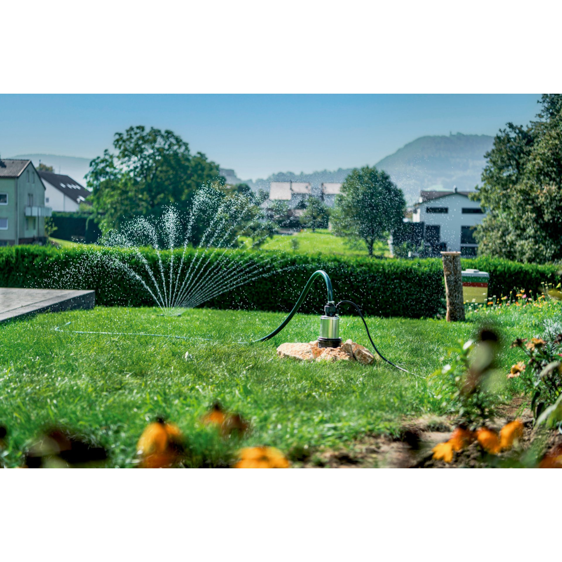 Gras, Rasen, Wasser, Garten, Hinterhof