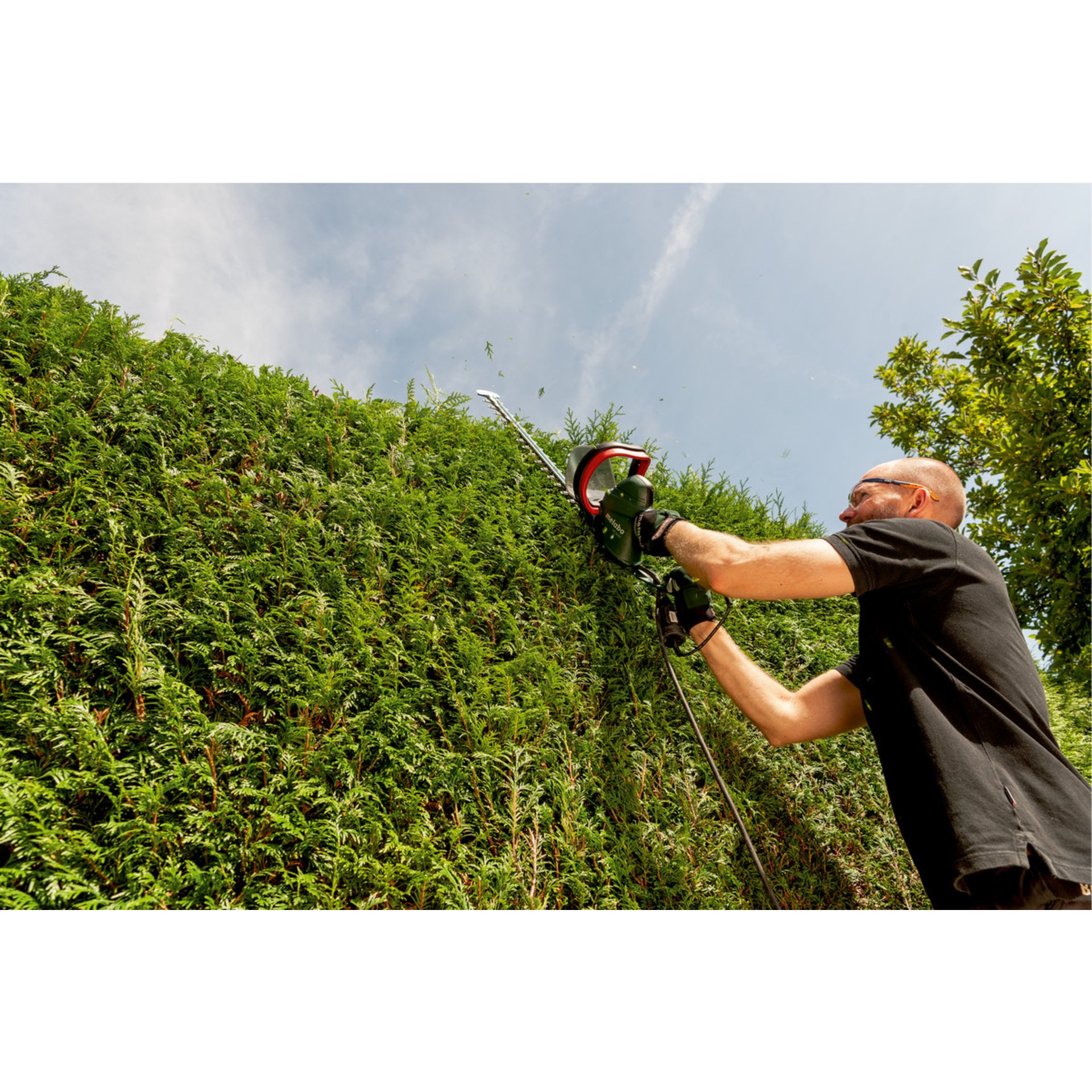 Garten, Hecke, Gartenarbeit, Mann, Person