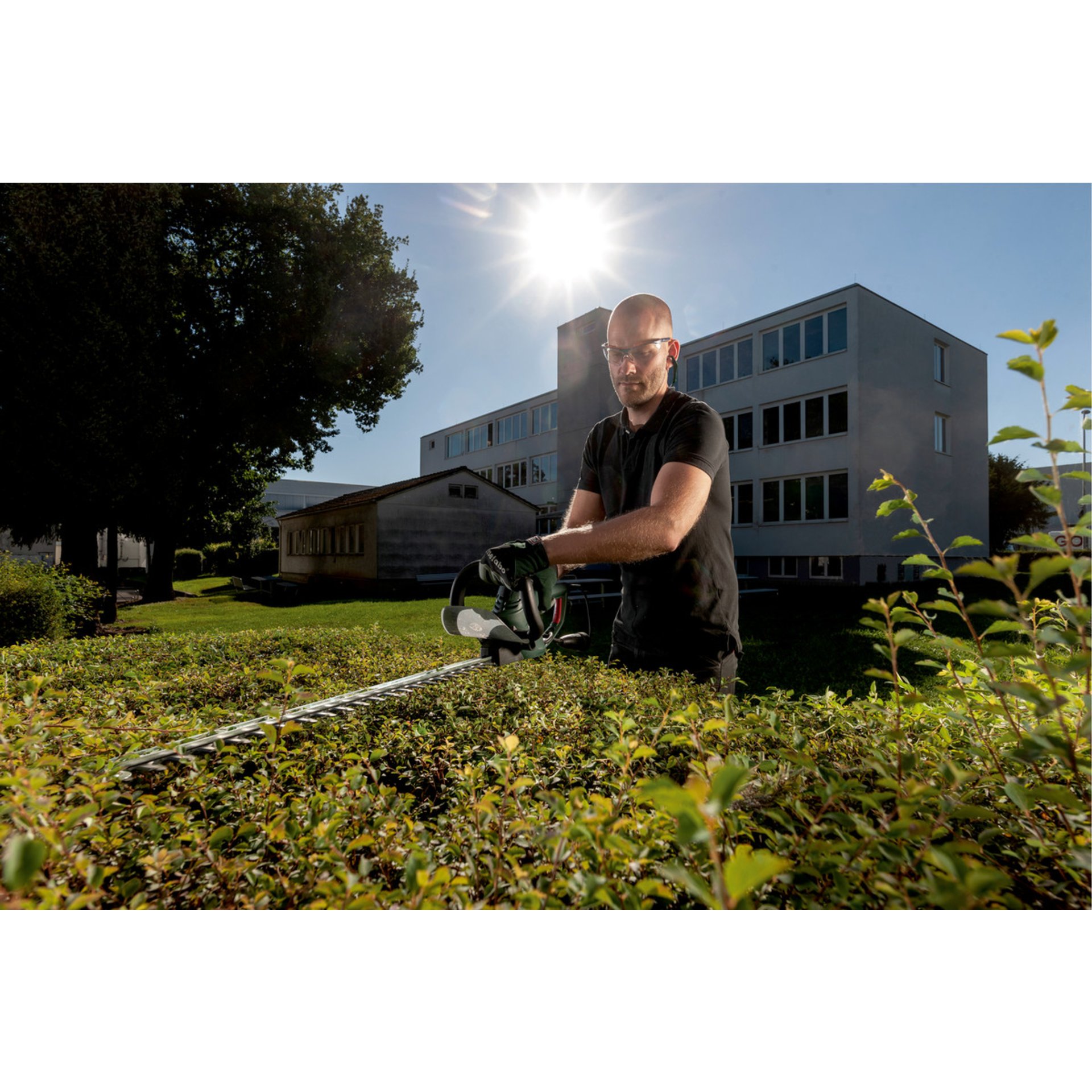 Gras, Rasen, Handschuh, Mann, Person