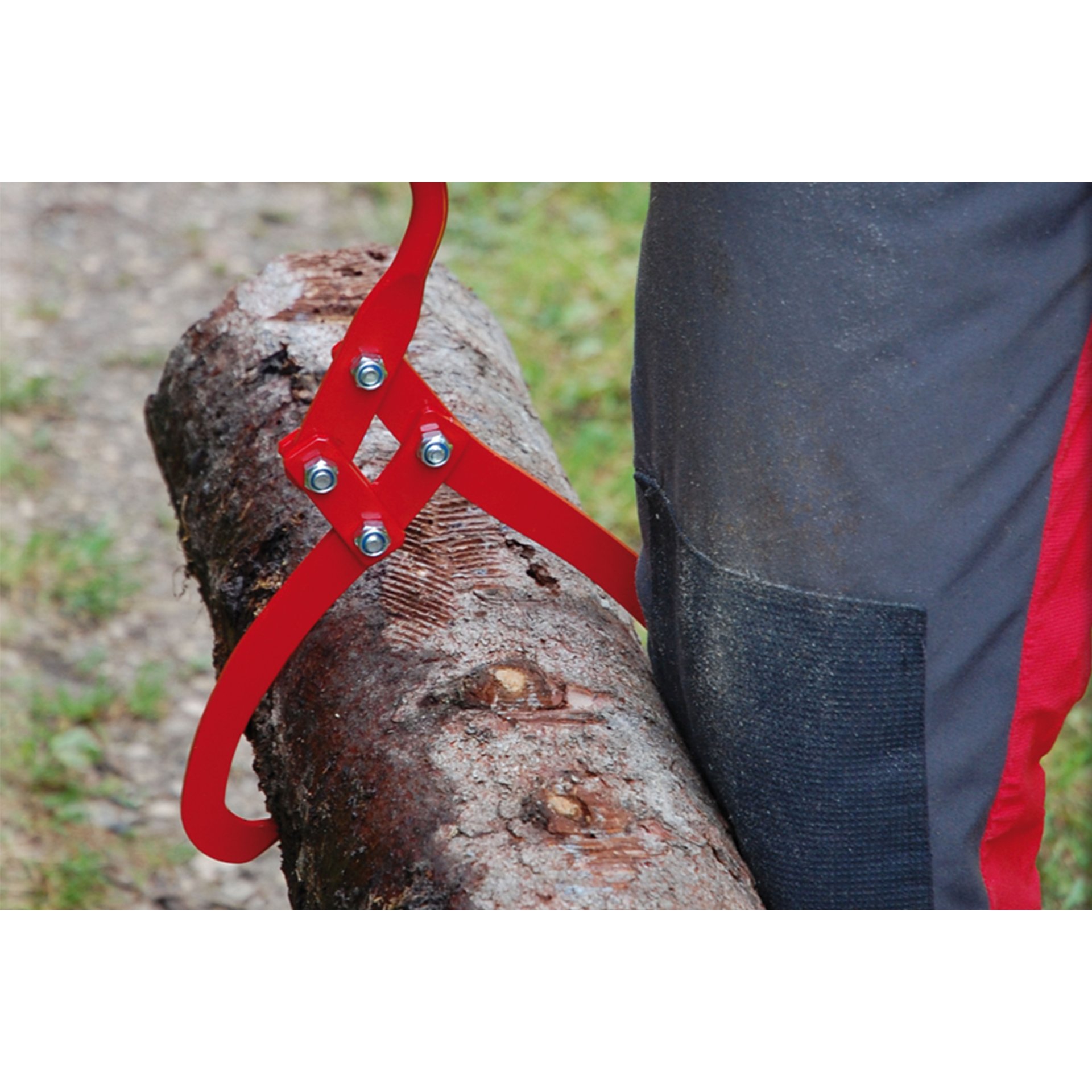 Pflanze, Baum, Kleidung, Jeans, Hosen