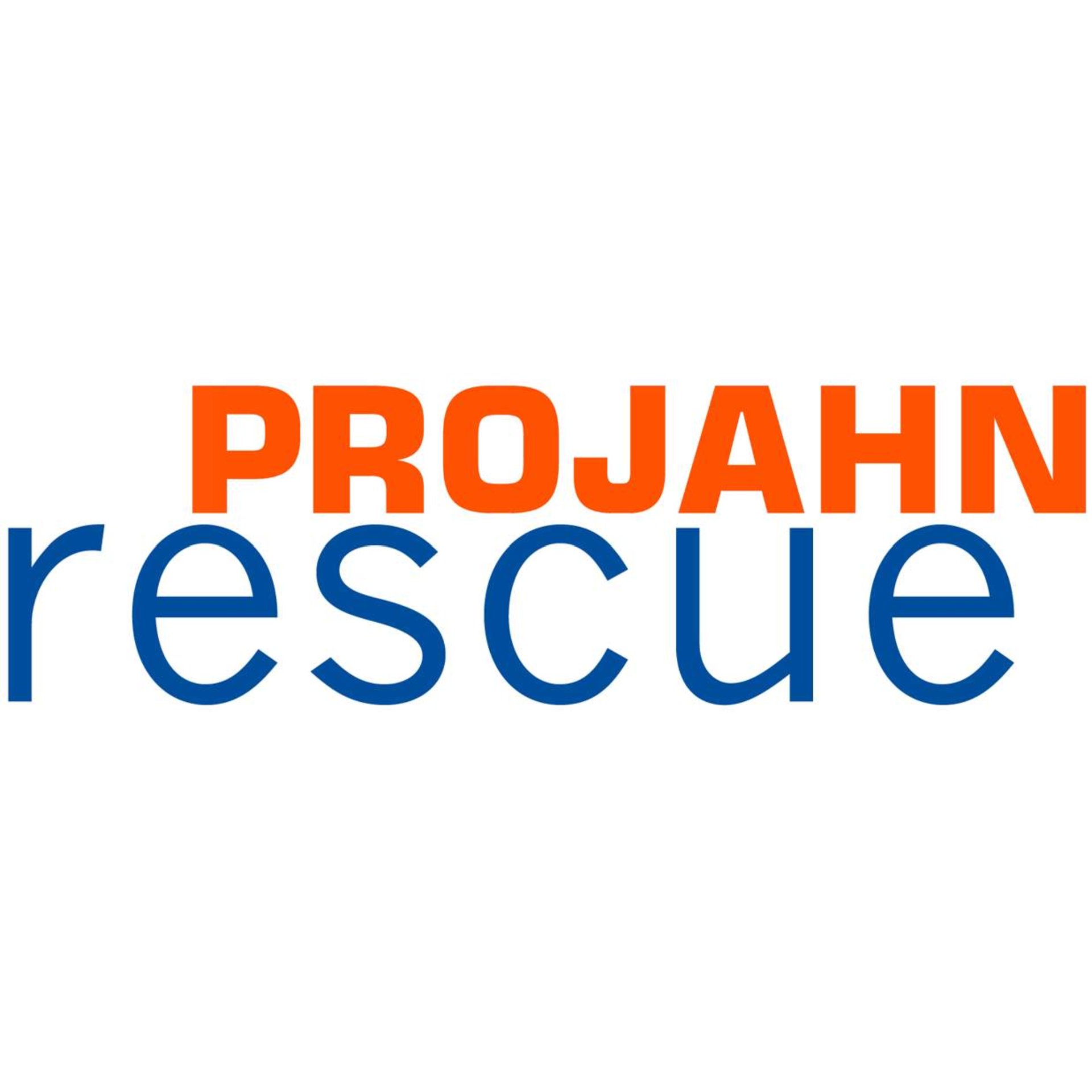 Logo, ProJahn Rescue, Rettung, Markenlogo, orange blau