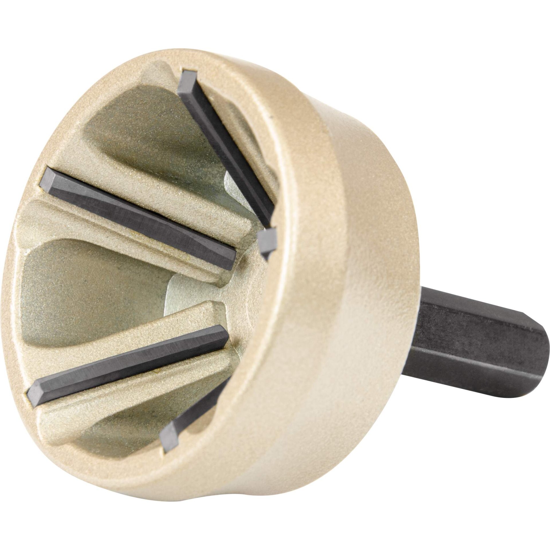 kannrice, edelstahl?, kühlschrank?, hähnchen?, führerschein?