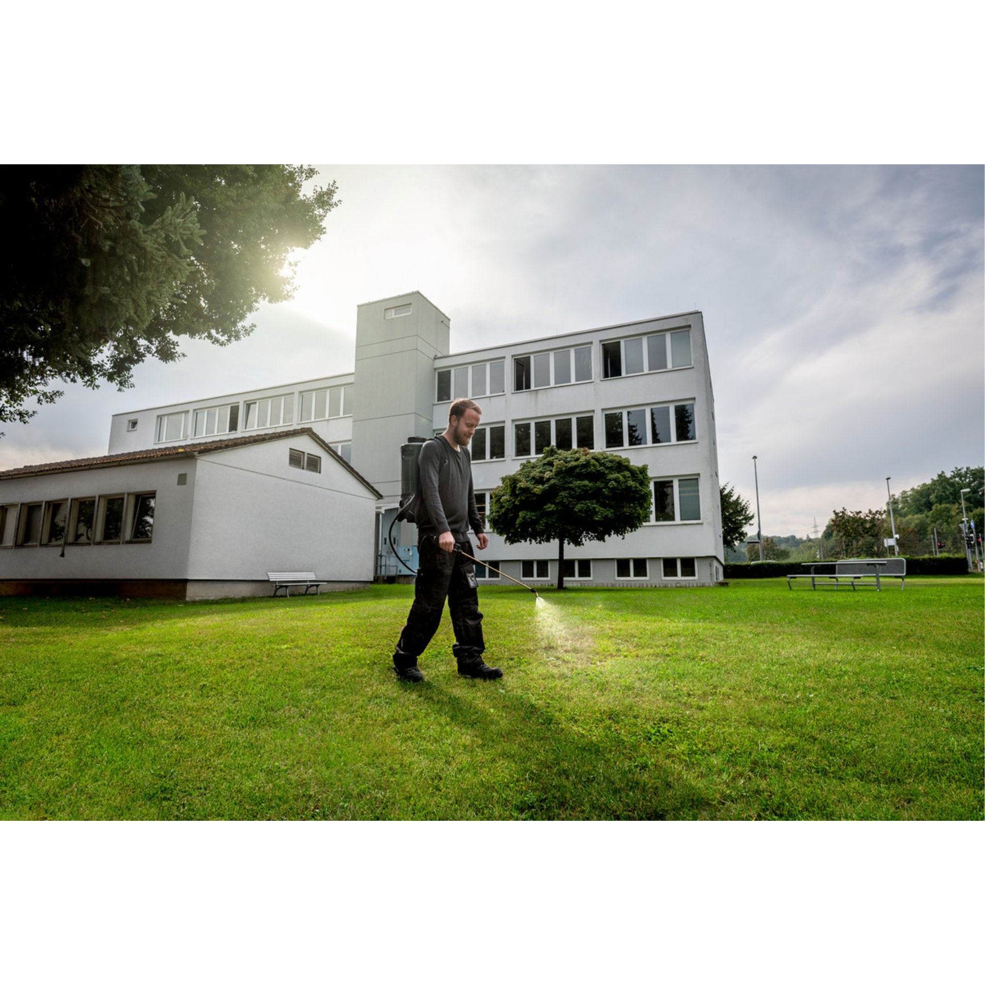 Gras, Rasen, Person, Gehen, Bürogebäude